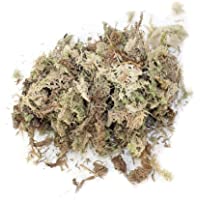 Wateralone Musgo De Reno- Agua Musgo Seco Musgo Substratos De Agua De Hierba para Orquídeas Phalaenopsis 6L Paquete…